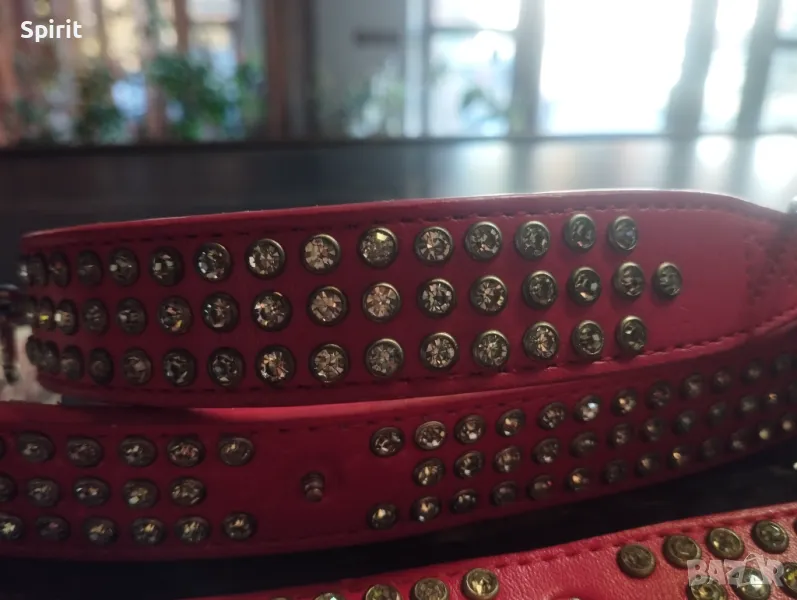 Каишки с камъни за средни породи кучета , снимка 1