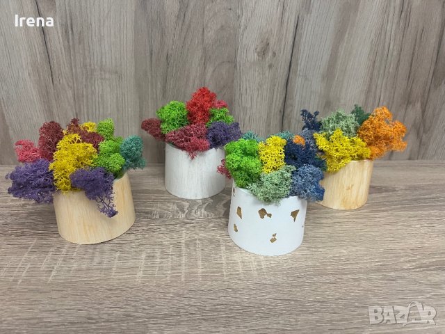 Кашпи със скандинавски мъх 8,50, снимка 13 - Декорация за дома - 42840962