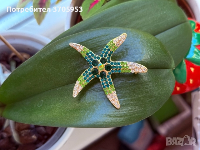 Различни видове брошки, снимка 13 - Колиета, медальони, синджири - 52172914