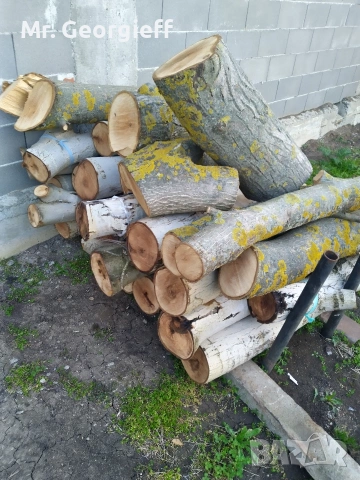 Орехови трупи - 1 куб.м, снимка 2 - Шкафове - 53977025