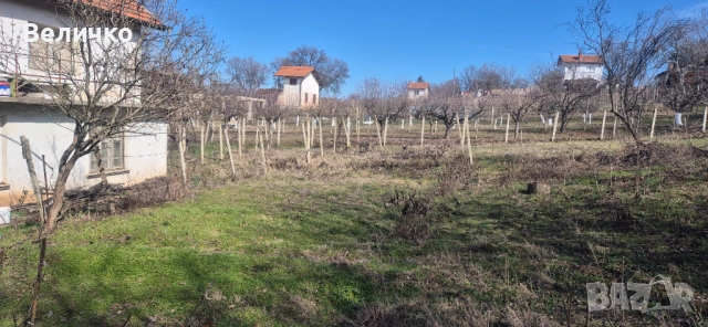 Вила с 1 декър двор - гр.Лом, снимка 4 - Вили - 54045625