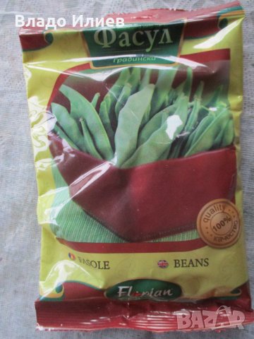 Семена за магданоз,краставици и фасул неразпечатани опаковки, снимка 10 - Сортови семена и луковици - 35184139