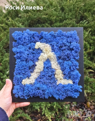 Картина "Левски" декорирана със скандинавски мъх