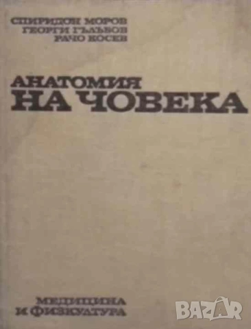 Анатомия на човека Георги Гълъбов, Спиридон Моров, Рачо Косев