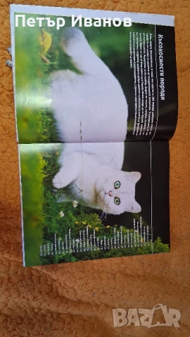 Енциклопедия за котки , снимка 3 - Детски книжки - 51152283