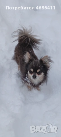 Търсим дама