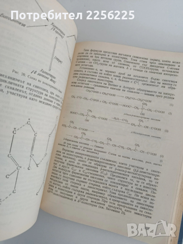 Биохимия, снимка 6 - Специализирана литература - 54291680