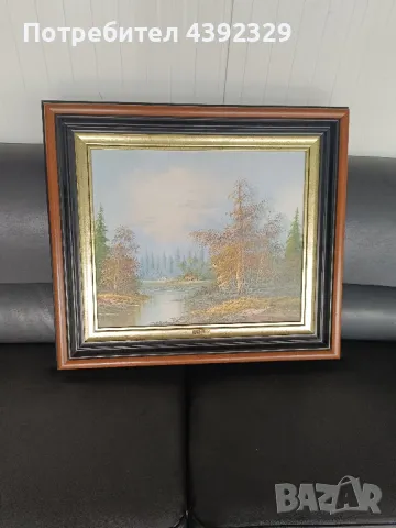 картина с пейзаж ПЛАТНО!, снимка 1