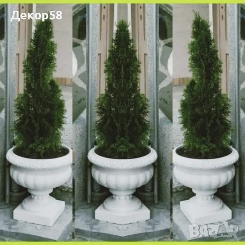  циментови САКСИИ , снимка 1