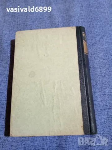 Реймон Есколие - Виктор Юго , снимка 4 - Художествена литература - 48044029