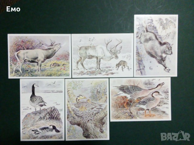 За Ценители и Колекционери! Изключително редки и отлично запазени руски комплекти картички(3)!, снимка 10 - Колекции - 31367025