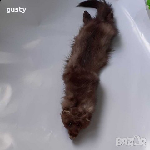 Топла яка за студени зимни дни, снимка 2 - Шалове - 31212127