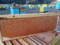 Пчелен мед, снимка 7