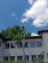 Рязане, кастрене и премахване на опасни и високи дървета в гр. Асеновград, снимка 2