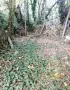 къща село Златна Ливада, снимка 8