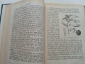 Фуражно производство - К.Павлов,Я.Якимова - 1960 г., снимка 8