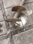 Свръдел за земя, снимка 3