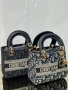 Дамски Чанти 🤍 Dior , снимка 15