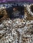 Яке Just Cavalli , снимка 6