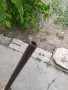 Малка стара пушка, снимка 15