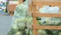 Чували за зеле - найлонови, снимка 2