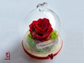 Вечна ЕСТЕСТВЕНА роза в Стъкленица / Интересен Подарък за Приятелка / Подарък за Годишнина