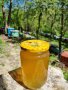 Акациев-Липов натурален пчелен мед, снимка 1 - Пчелни продукти - 42873552