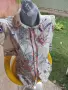 риза с къс ръкави , снимка 1