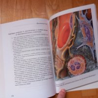 Стоматологична алергология и огнищна диагностика- Киселова, 2001год., снимка 7 - Специализирана литература - 43909451