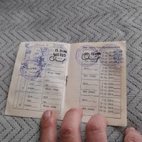 Стар Ветеринарен паспорт за куче, снимка 3 - Други ценни предмети - 44430248