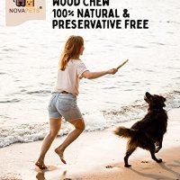 Нова естествена играчка за куче дъвчене Обучение на домашни любимци, снимка 4 - За кучета - 40333735