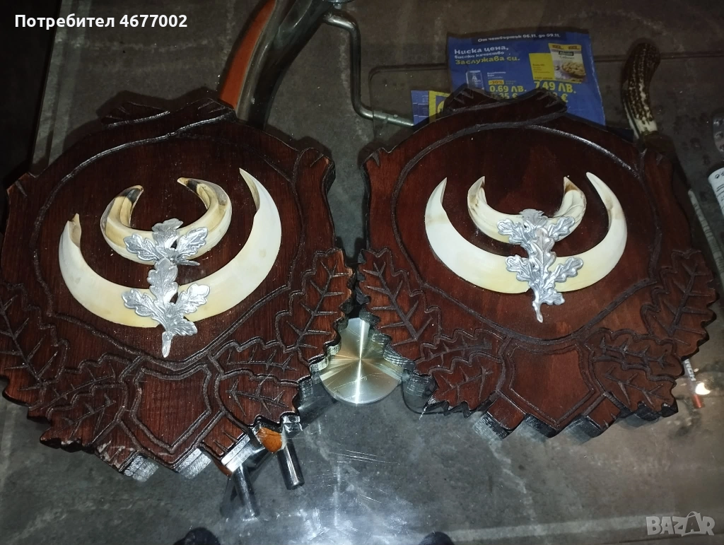 Глиги от диво прасе, снимка 1