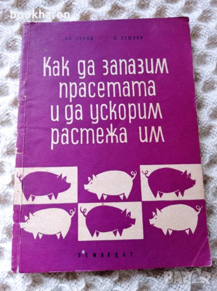 Как да запазим прасетата и да ускорим растежа им, снимка 1