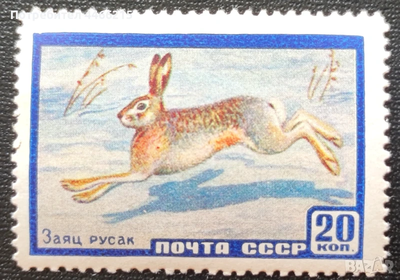 СССР, 1960 г. - самостоятелна чиста марка, животни, 1*46, снимка 1