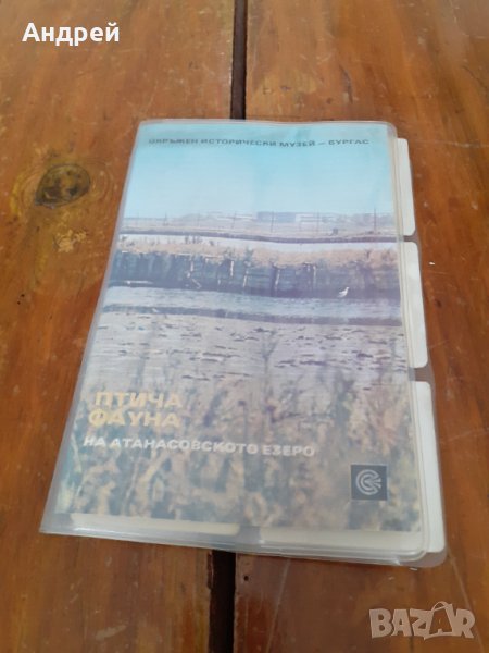 Стари диапозитиви Атанасовското езеро,Птича фауна, снимка 1