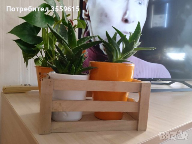 декоративна дървена касетка, снимка 1 - Декорация за дома - 42061064