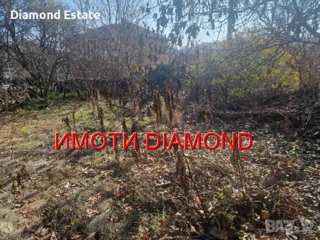 Къща в село Златна ливада обл. Стара Загора, снимка 14 - Къщи - 48039218