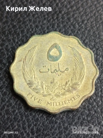 Две монети 10 филса 1967г. Ирак / 5 милима 1965г. Либия за КОЛЕКЦИЯ ДЕКОРАЦИЯ 25081, снимка 6 - Нумизматика и бонистика - 51416627