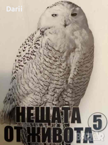 Нещата от живота. Книга 5