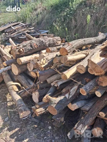 Продавам дърва за огрев , снимка 2 - Дърва за огрев - 55947740