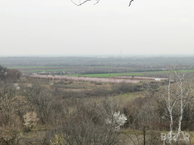 Вила/къща на 13км от Пловдив , снимка 12 - Къщи - 53895831