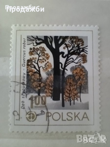 Колекция стари пощенски марки Полша, снимка 2 - Филателия - 44718254