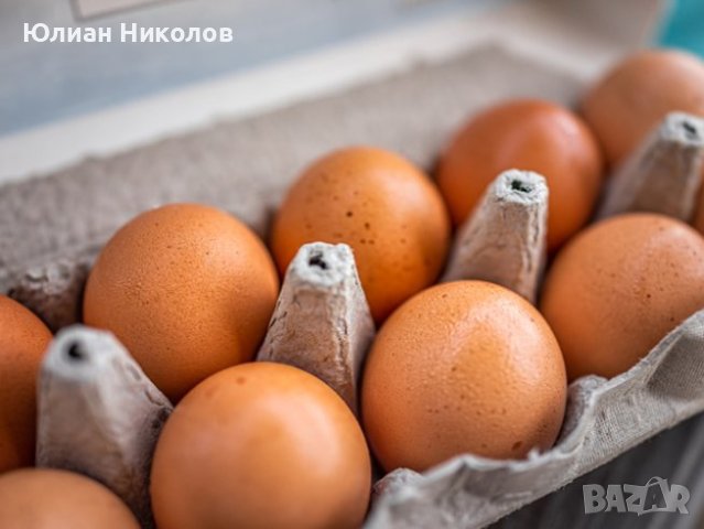 Яйца от домашни свободни кокошки, снимка 1
