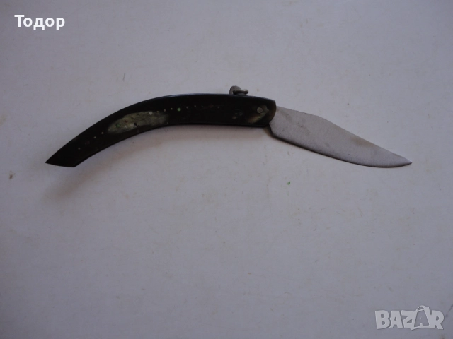 Страхотен нож сойка биволски рог гравюри 6, снимка 3 - Ножове - 52671166