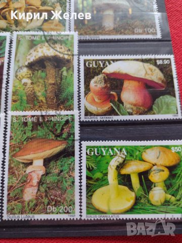 Пощенски марки чиста комплектна серия Гъби стари редки за колекция декорация - 22047, снимка 4 - Филателия - 36642280