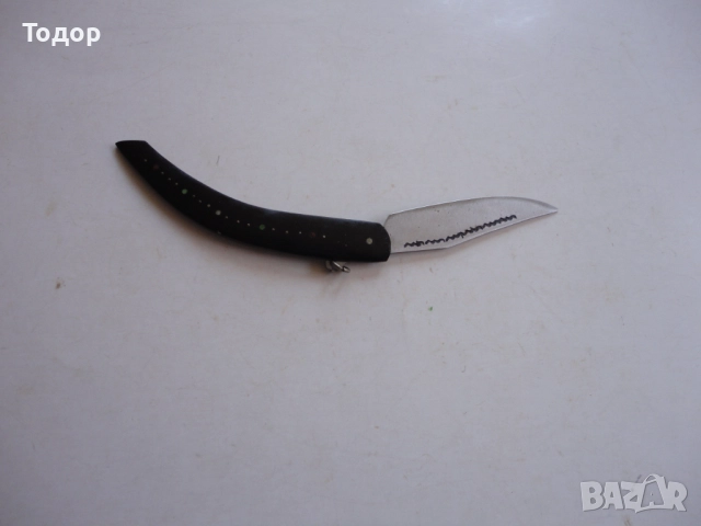 Страхотен нож сойка биволски рог гравюри 6, снимка 7 - Ножове - 52671166