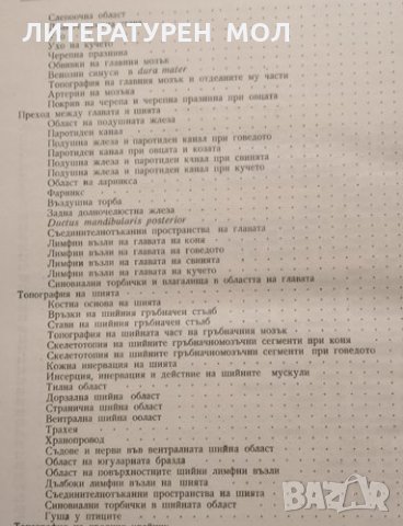 Топографска анатомия на домашните животни. Второ издание. Стефан Иванов, 1958г., снимка 3 - Специализирана литература - 32109024