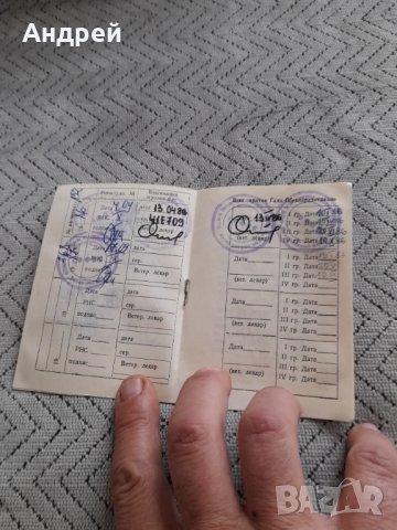 Стар Ветеринарен паспорт за куче, снимка 3 - Други ценни предмети - 44430248