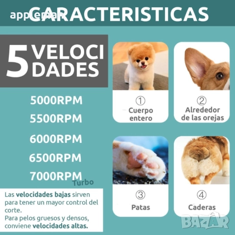 VGR 209 Професионална машинка за подстригване домашни любимци кучета, снимка 4 - За кучета - 52865476