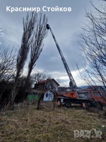 Дървета, София,  Перник и цялата страна, Автовишки,  алпийски способ!, снимка 1